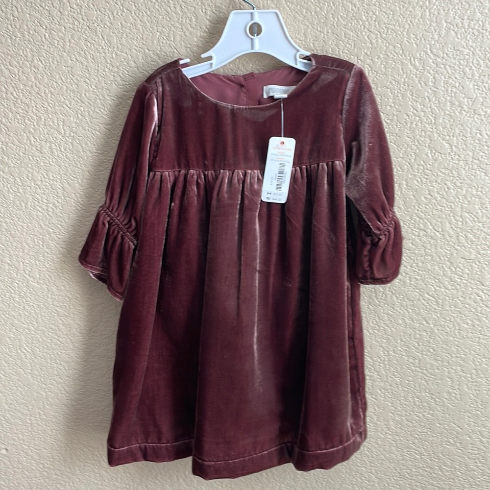 Velvet Gymboree dress